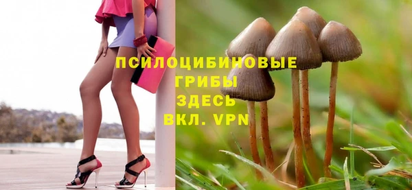 дурь Семилуки