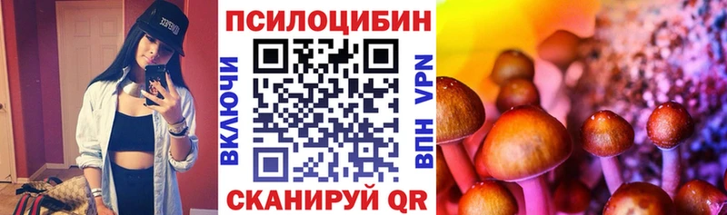 Галлюциногенные грибы MAGIC MUSHROOMS  купить   нарко площадка как зайти  Адыгейск  ссылка на мегу как войти 